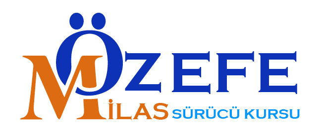 IMG-LOGO